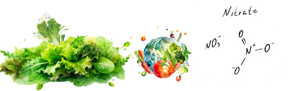 Watercolor vegetables